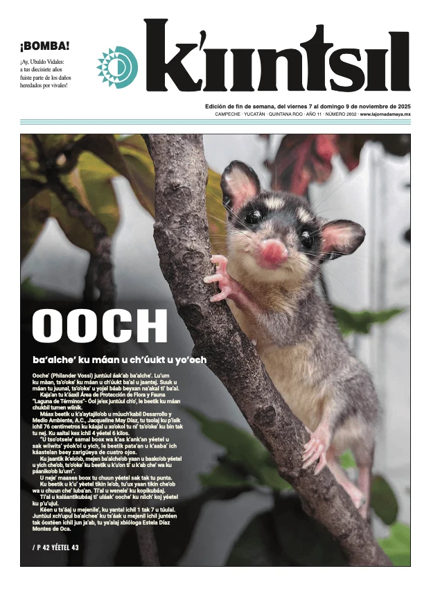Portada de La Jornada - Kiintsil del viernes, 7 de noviembre de 2025