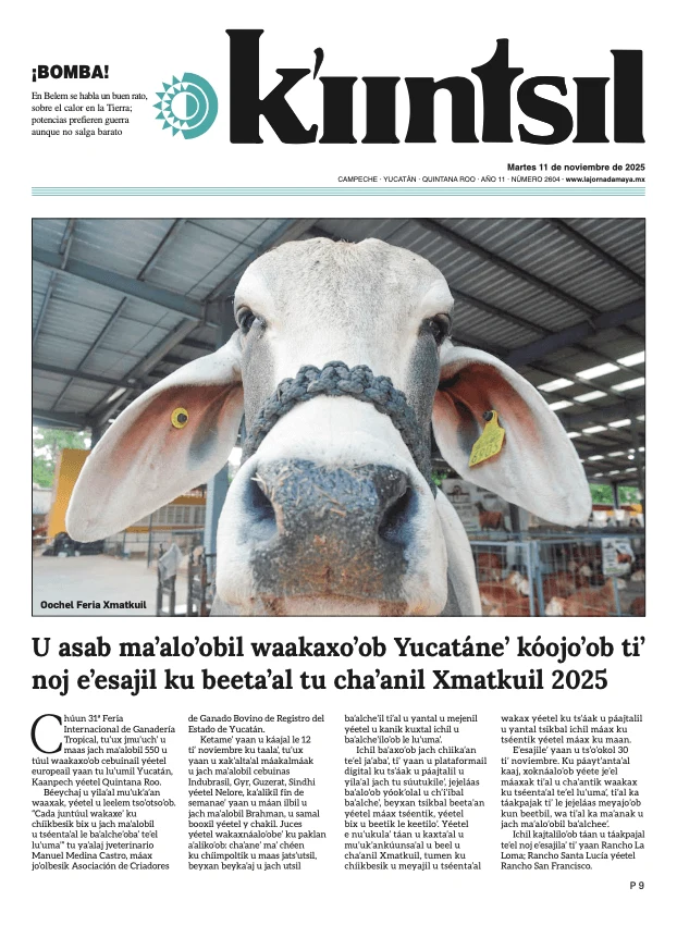 Portada de La Jornada - Kiintsil del martes, 11 de noviembre de 2025