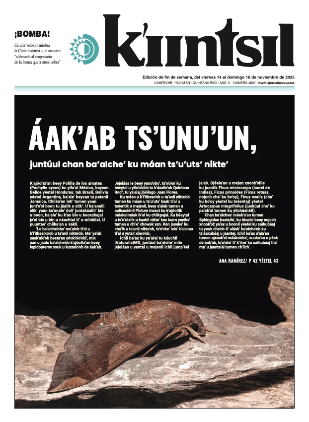 Portada de La Jornada - Kiintsil del viernes, 14 de noviembre de 2025