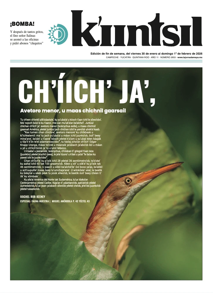 Portada de La Jornada - Kiintsil del viernes, 30 de enero de 2026