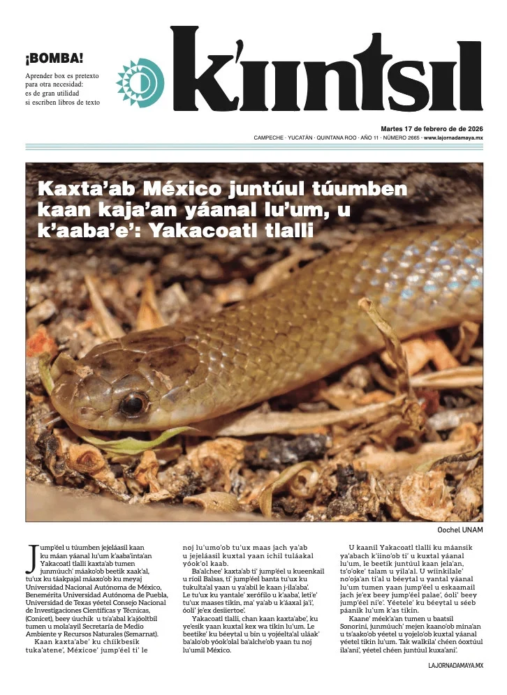 Portada de La Jornada - Kiintsil del martes, 17 de febrero de 2026