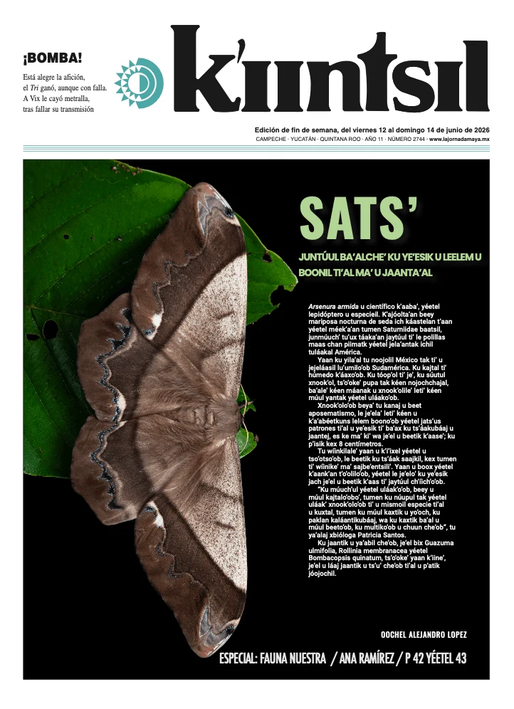 Portada de La Jornada - Kiintsil del viernes, 12 de junio de 2026