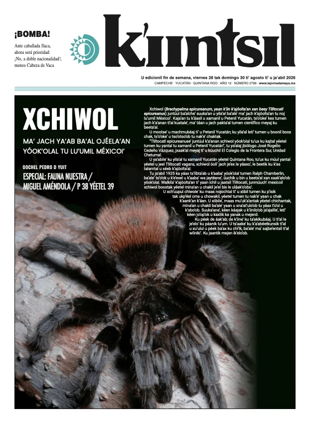 Portada de La Jornada - Kiintsil del viernes, 28 de agosto de 2026