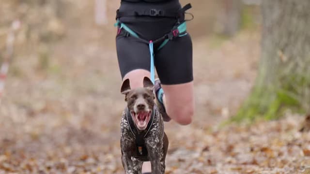 Leskross Tlučná video / VIDEO-005