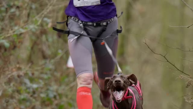 Leskross Tlučná video / VIDEO-007