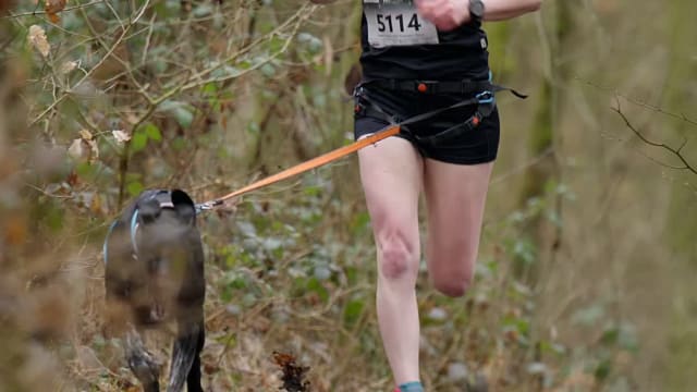 Leskross Tlučná video / VIDEO-001