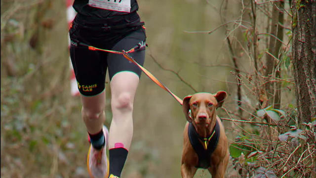 Leskross Tlučná video / VIDEO-009