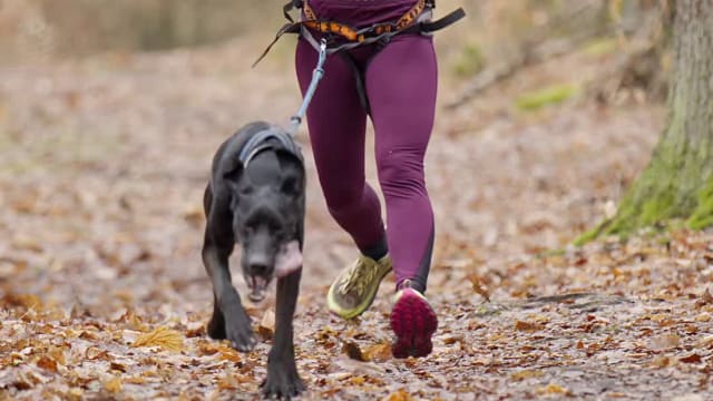 Leskross Tlučná video / VIDEO-002