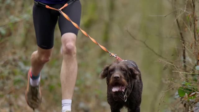 Leskross Tlučná video / VIDEO-008