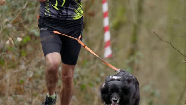 Leskross Tlučná video / VIDEO-013