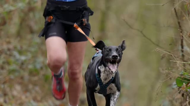 Leskross Tlučná video / VIDEO-014