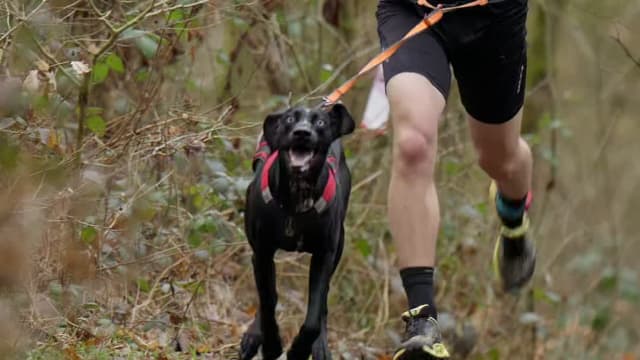 Leskross Tlučná video / VIDEO-010