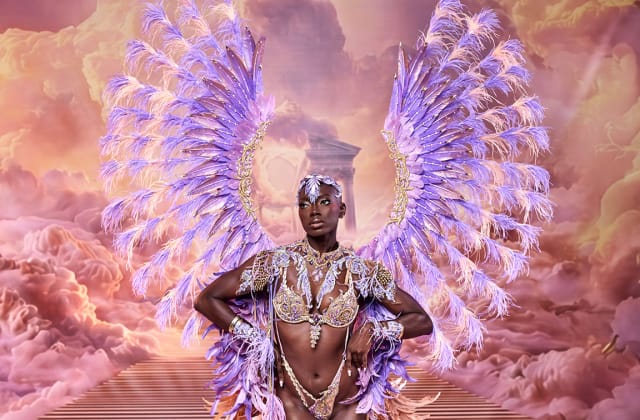 Tribe Ambrosia