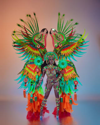Just 4 Fun Carnival 2026 costume