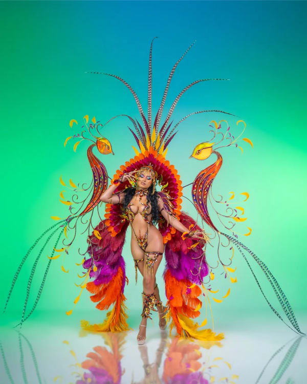Entice Mas Natori costume 8
