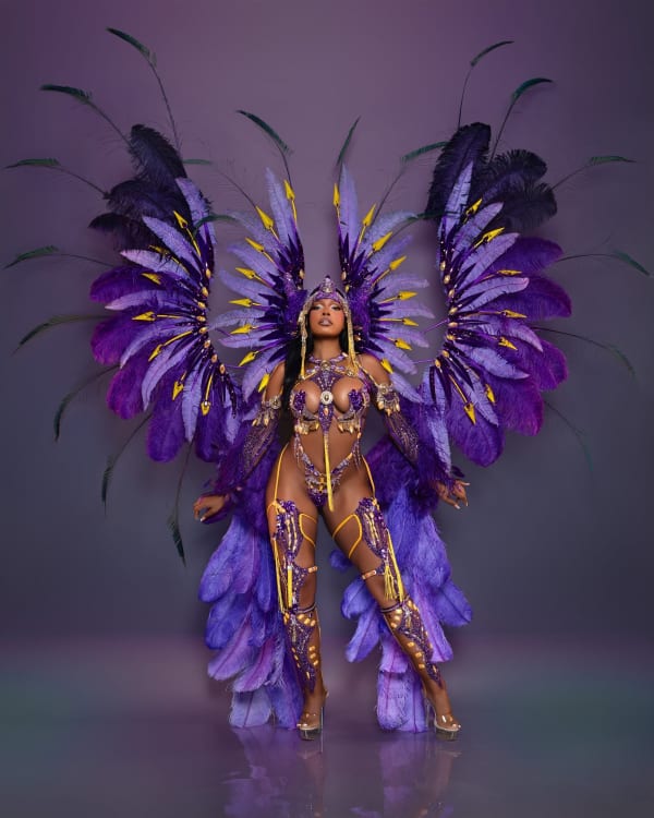one-island-band minnesota-vikings