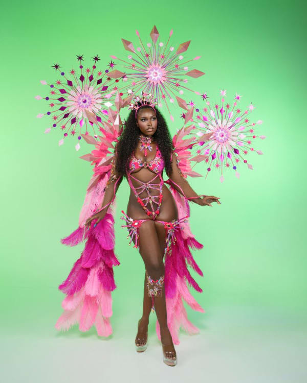 Fuzion Mas Spark costume 5