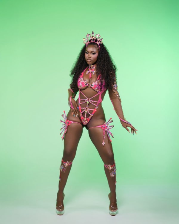 Fuzion Mas Spark costume 6