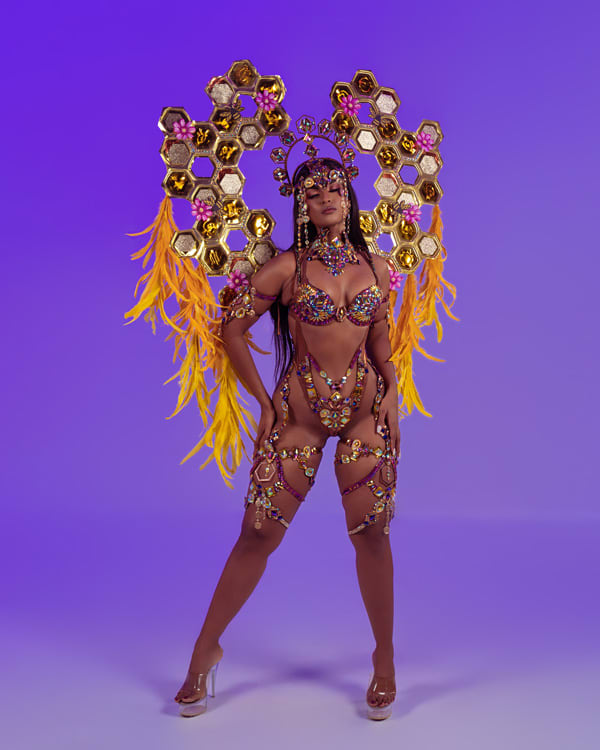 Just 4 Fun Carnival Siwo costume 4
