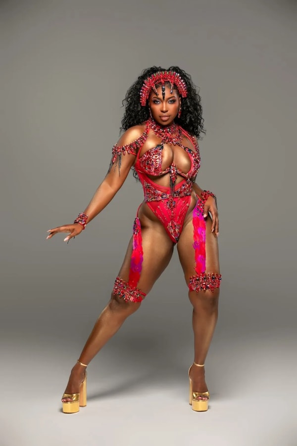 Spirit Ibis costume, Trinidad Carnival 2025