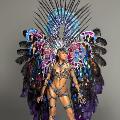 Spirit Ibis costume, Trinidad Carnival 2025