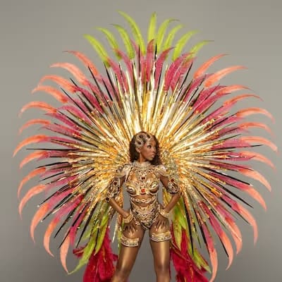 Spirit Ibis costume, Trinidad Carnival 2025