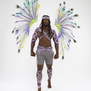 Ronnie & Caro Verbena costume, Trinidad Carnival 2025