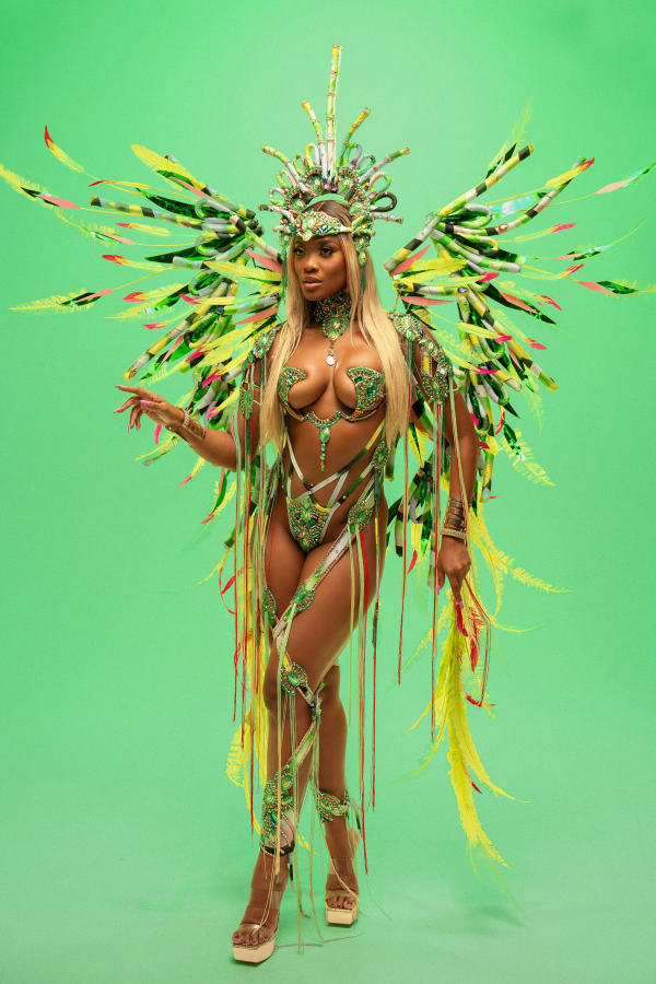 Paparazzi Soulscape costume, Trinidad Carnival 2025