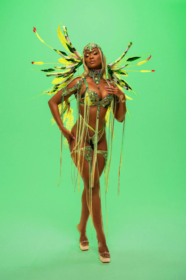 Paparazzi Soulscape costume, Trinidad Carnival 2025