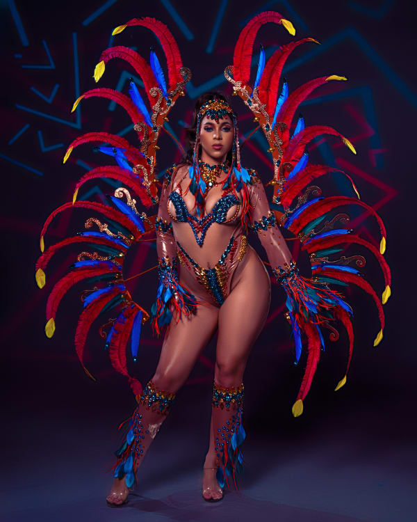 Blue Box Cart Desert Oasis costume, Crop Over 2025