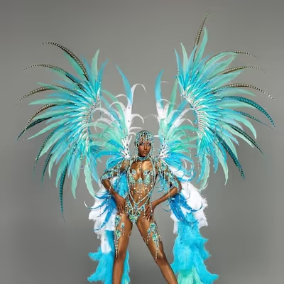 Spirit Ibis