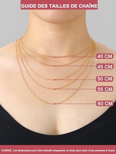 Vue 6 de Chaine Collier Argentplaque Or