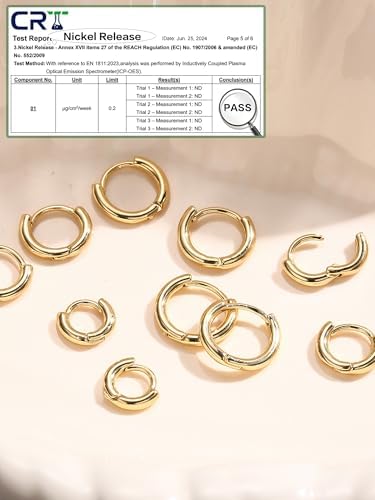 Vue 6 de Paires Piercing Oreille Argent