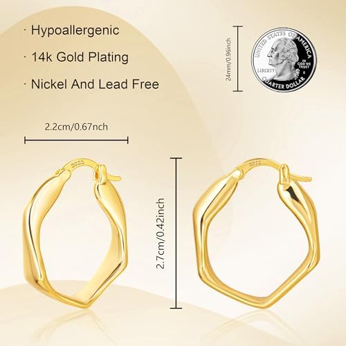 Vue 7 de Boucles d'Oreilles En Argent