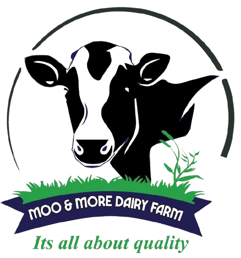 More and More Dairy Logo