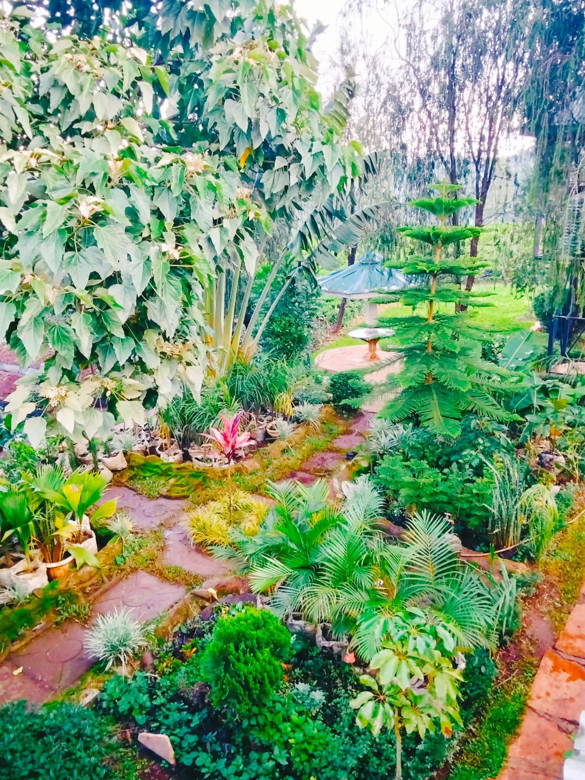 Landscaping & Aesthetics