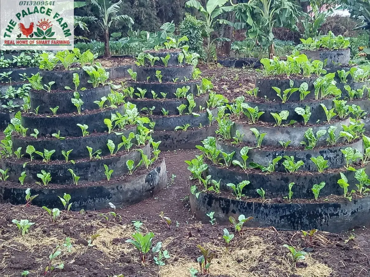 Water Management