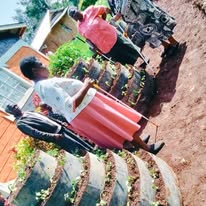 Palace Farm
