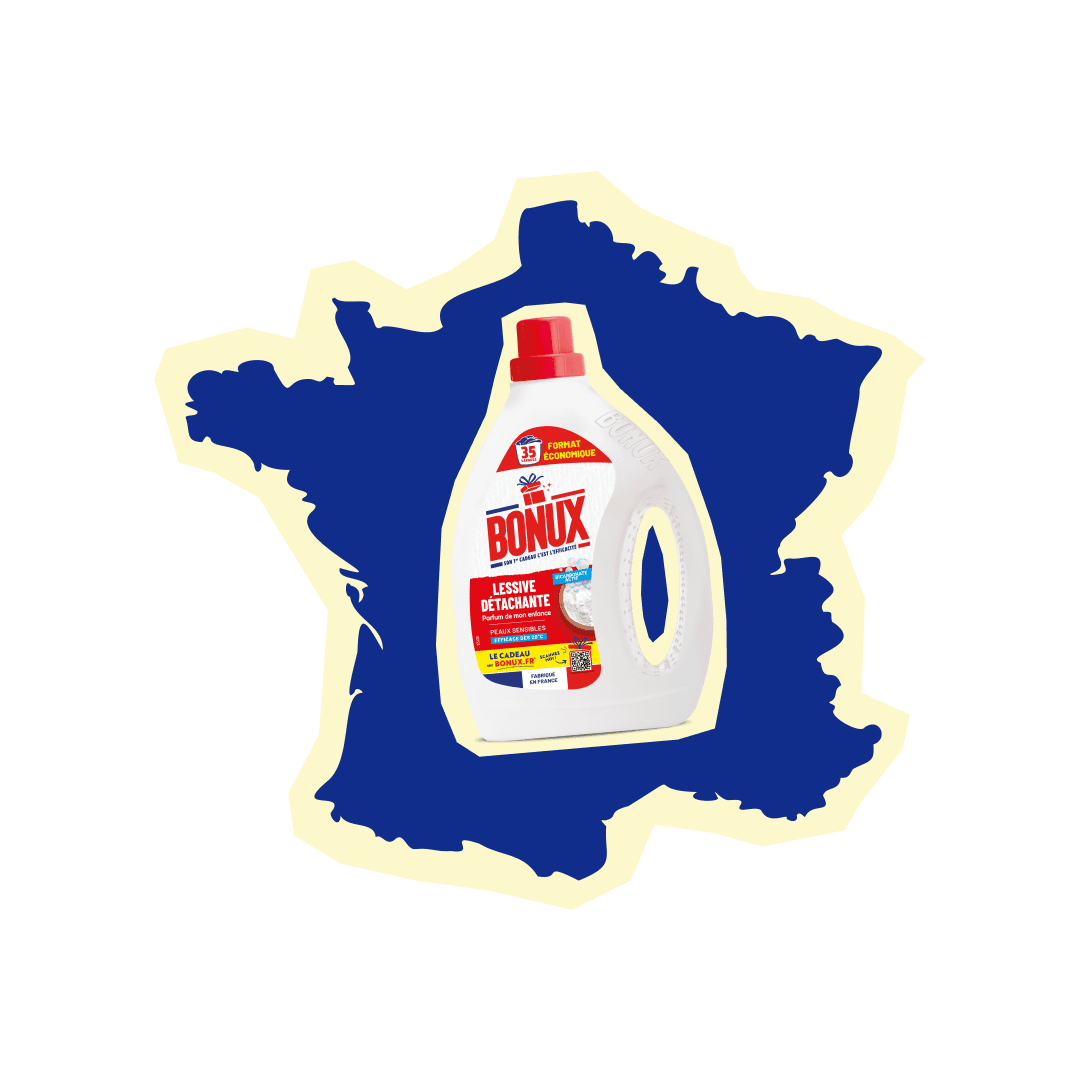 ingredients illustration