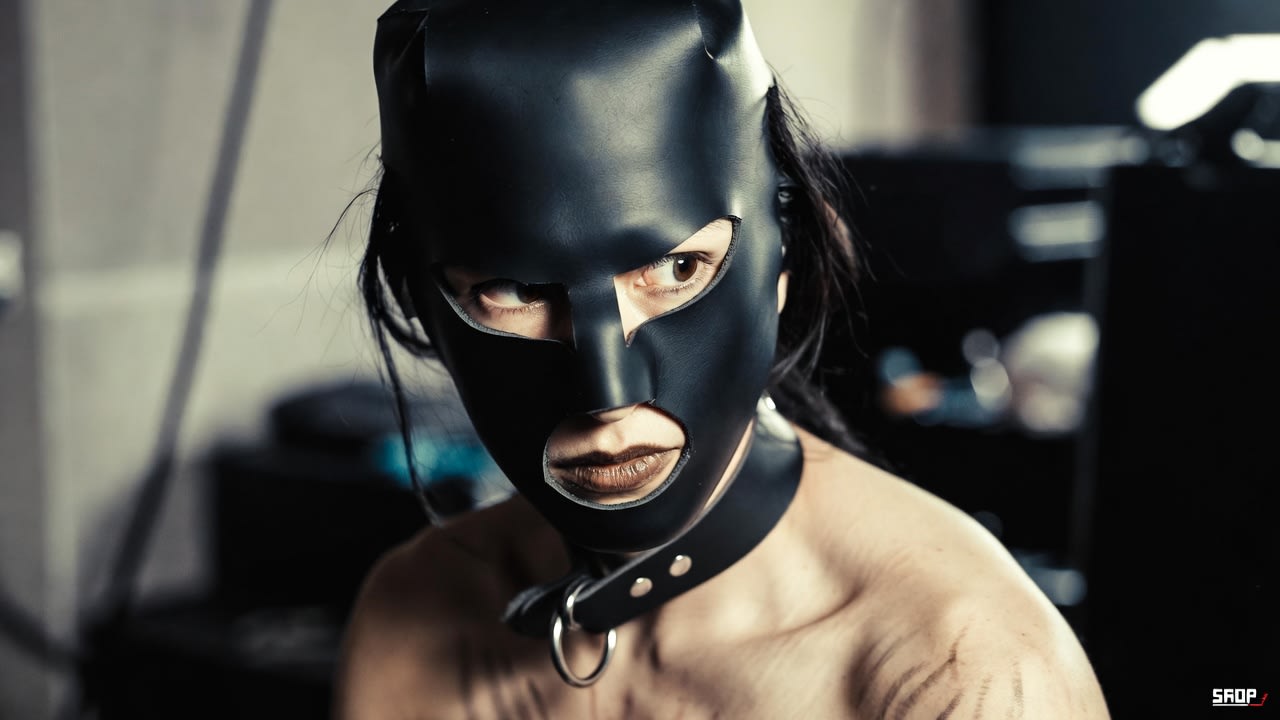 Hooded submissive in a black latex mask wearing a leather collar with a steel O-ring, gazing directly at the camera in a dim studio