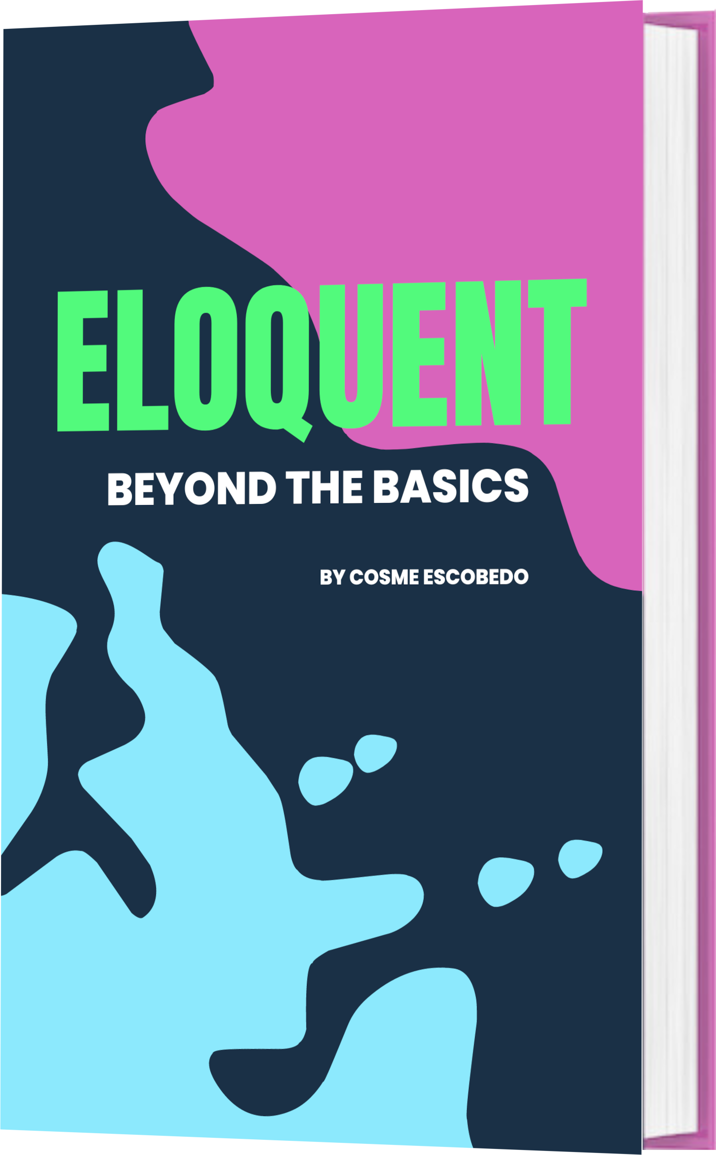 cover of book