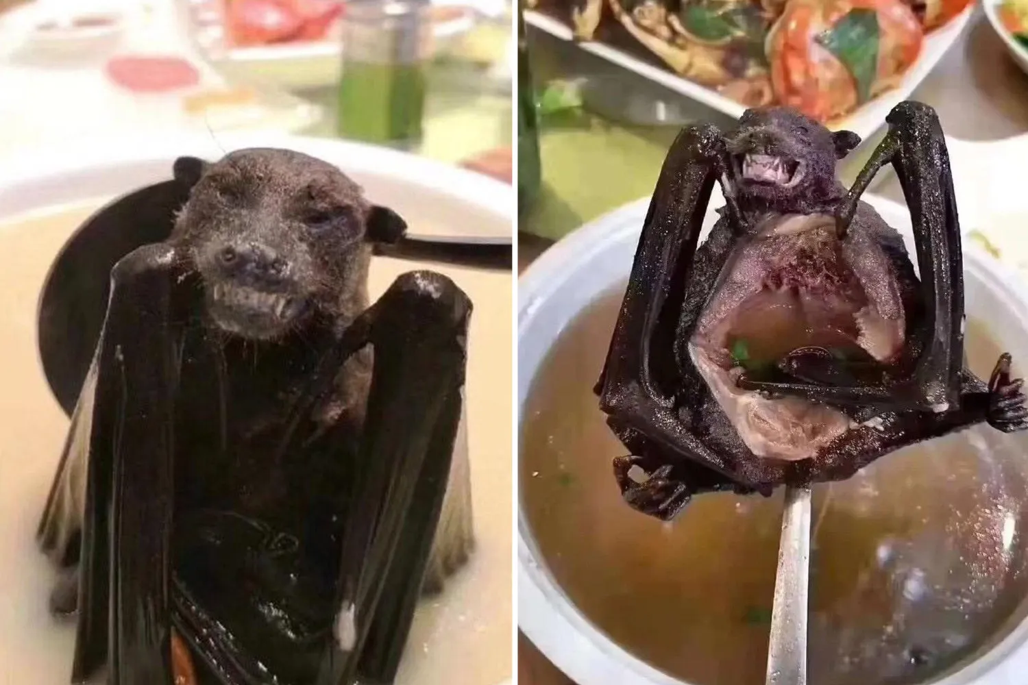 #Bat_Soup
