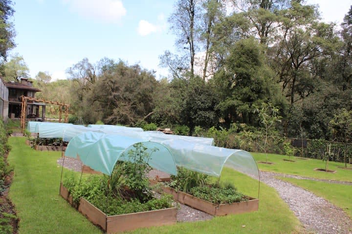 Previous Ceremony 36