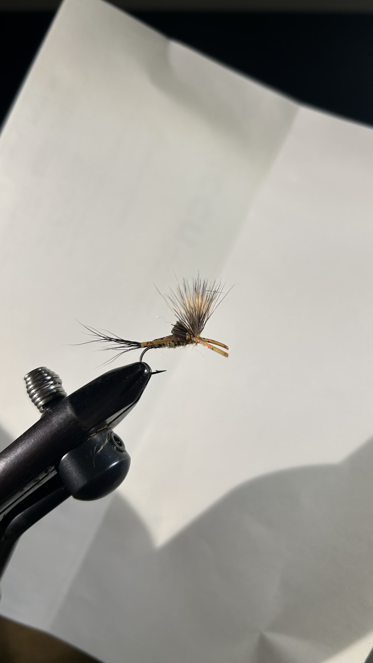 Brown Drake Nealley