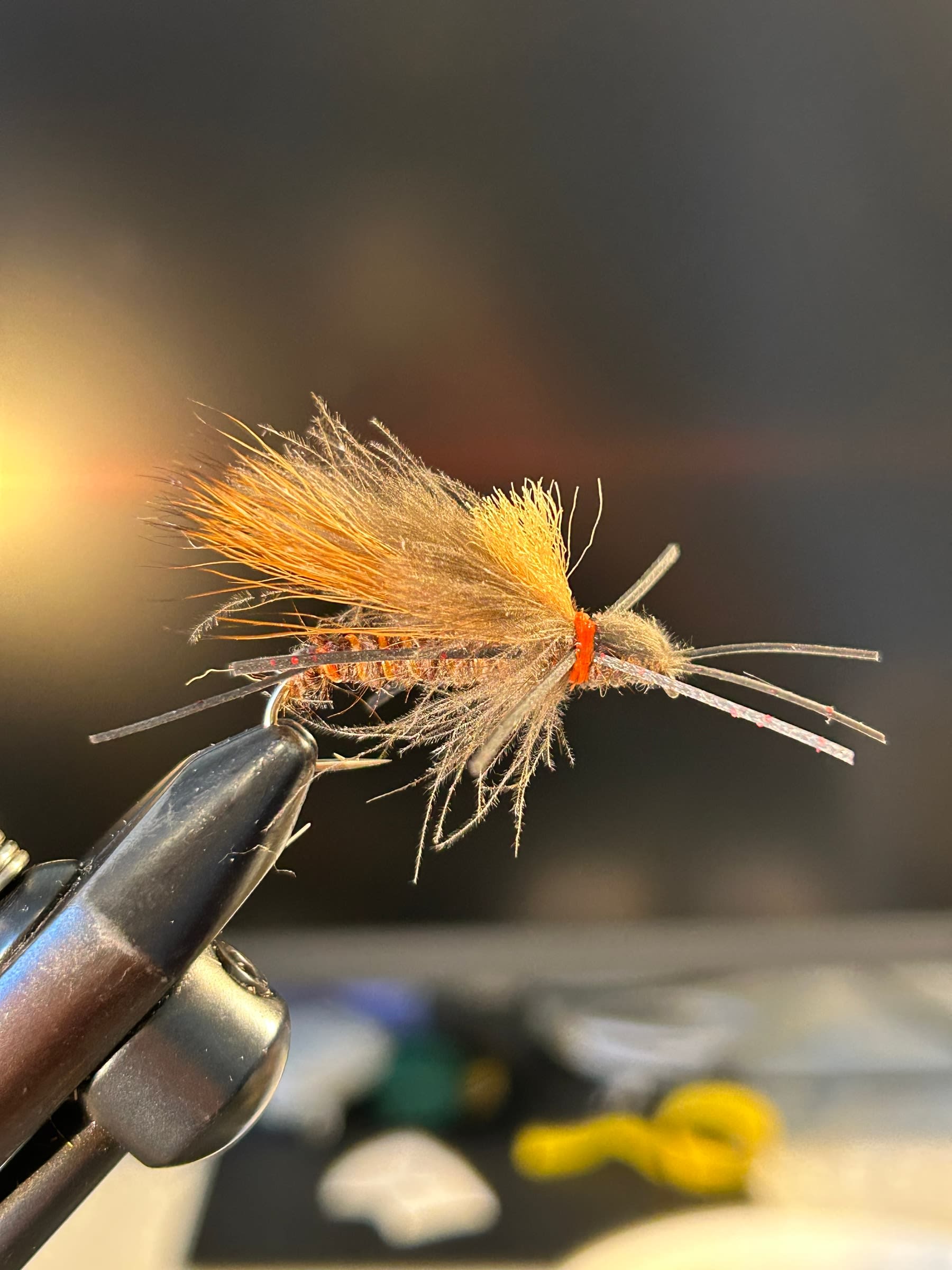 Libby’s Salmon Fly