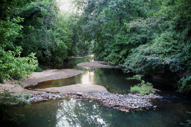 mounds of dirt scattered through creek surrounded by lush trees