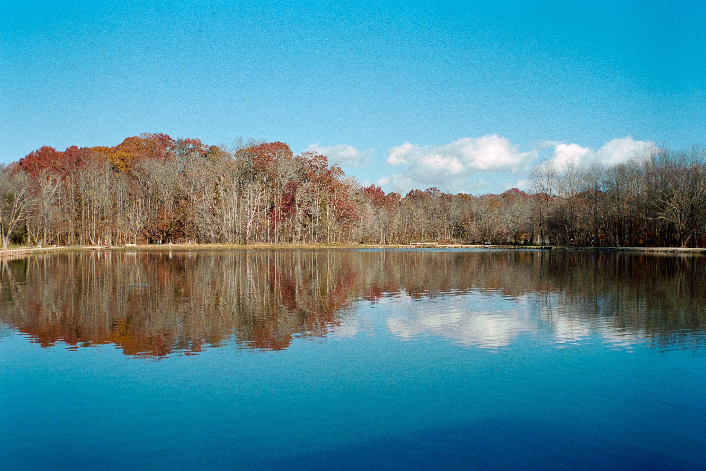 fall trees in recreational park reflected in pond