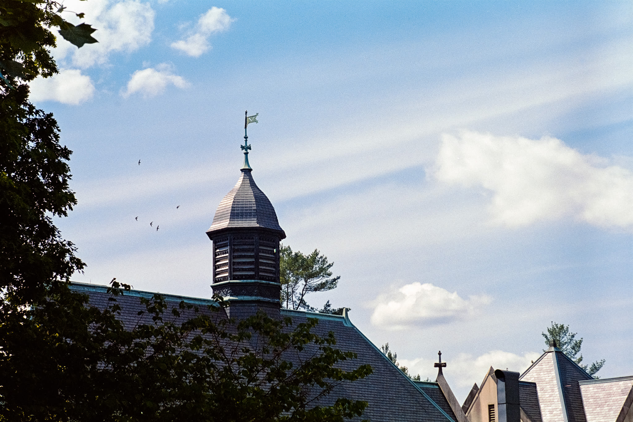 wing of biltmore mansion with birds