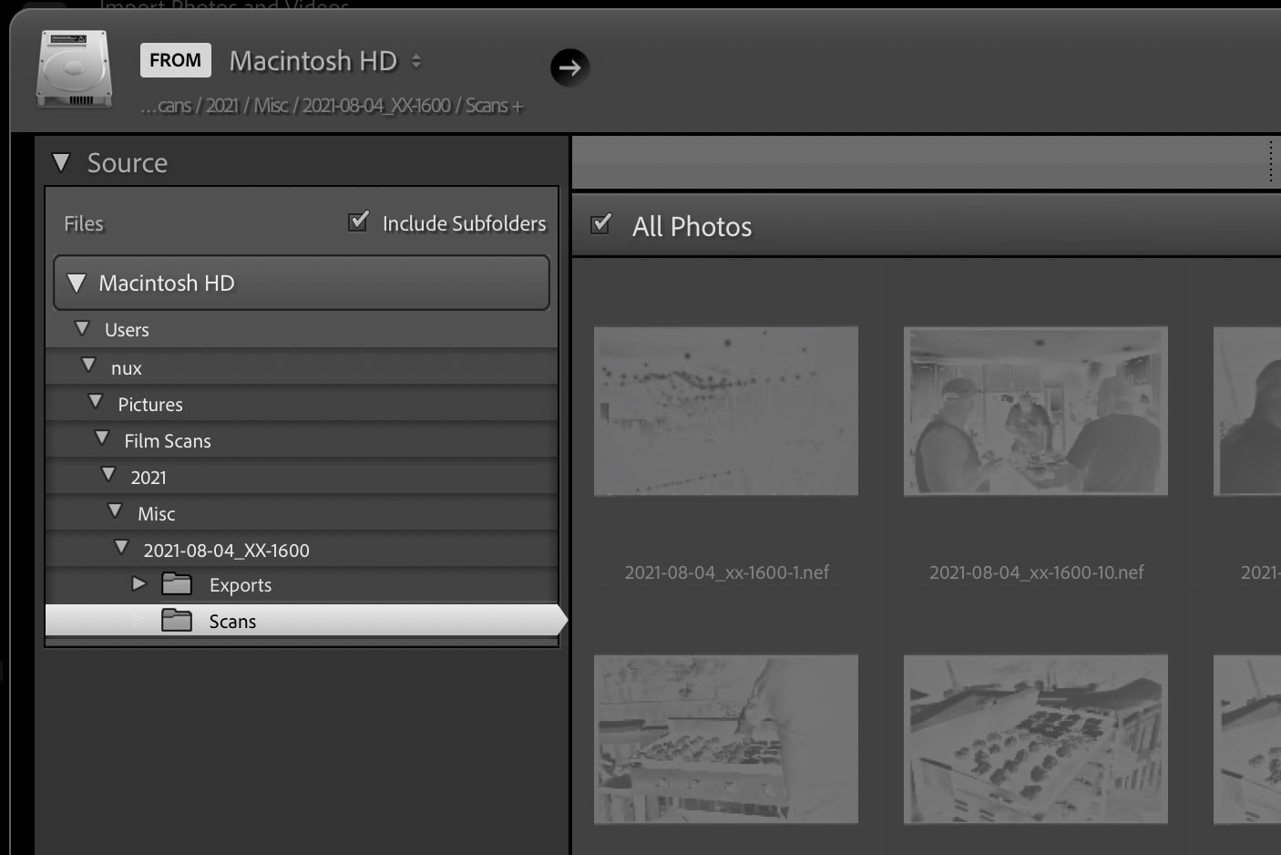 screenshot of lightroom's import feature