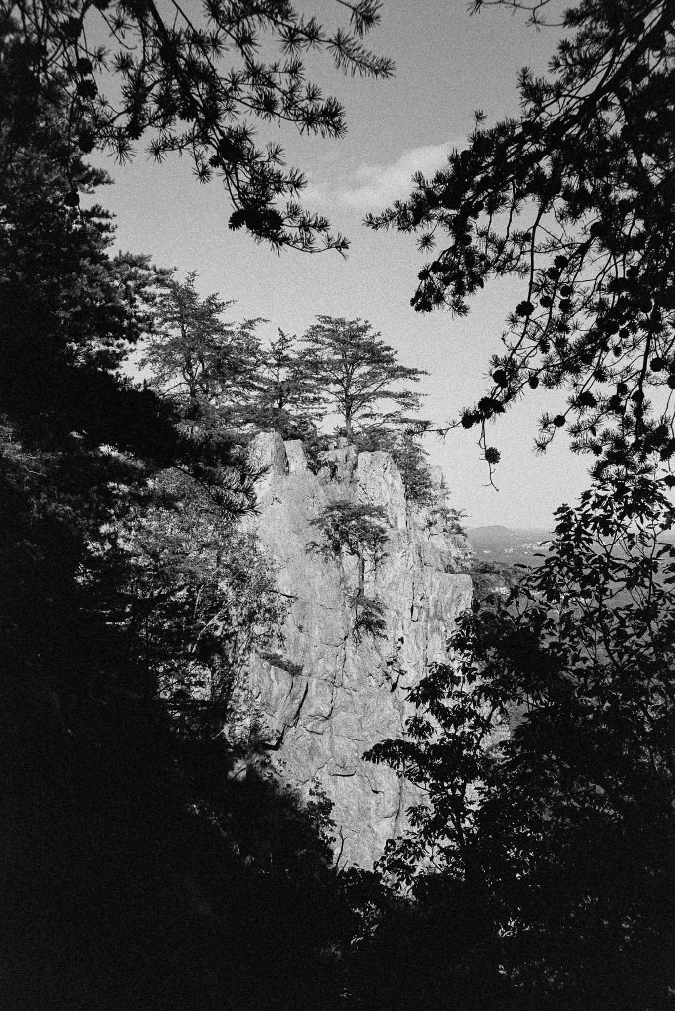 peaks of rocks with trees on mountain